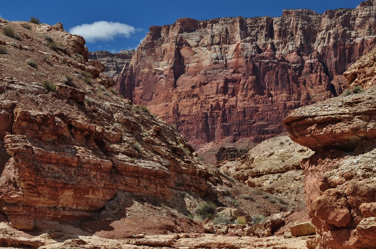 Lower Cathedral Wash